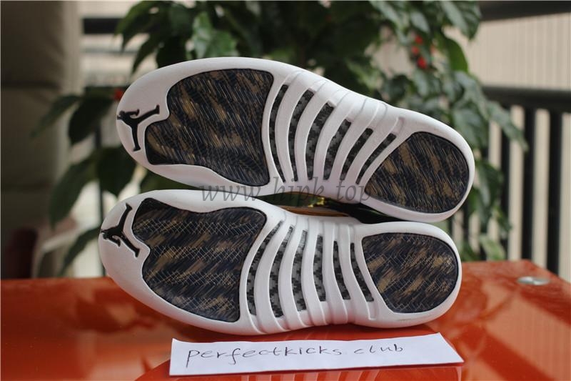 Authentic Air Jordan 12 Retro Wings