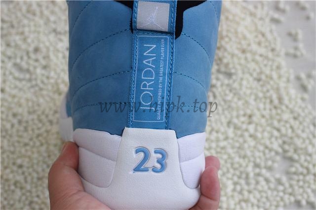 Authentic Air Jordan 12 Pantone