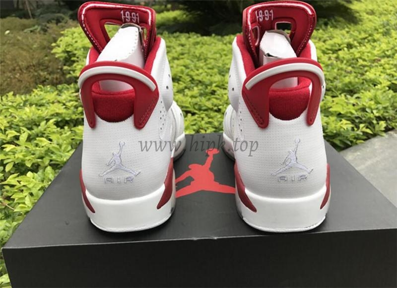 Authentic Air Jordan 6 Hare 2016