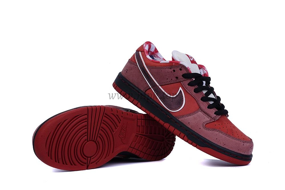 PK GOD Nike SB Dunk Low RED Lobster RETAIL MATERIALS READY TO SHIP