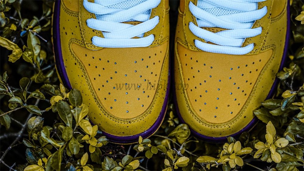 PK GOD Nike SB Dunk Low Yellow Lobster RETAIL MATERIALS READY TO SHIP